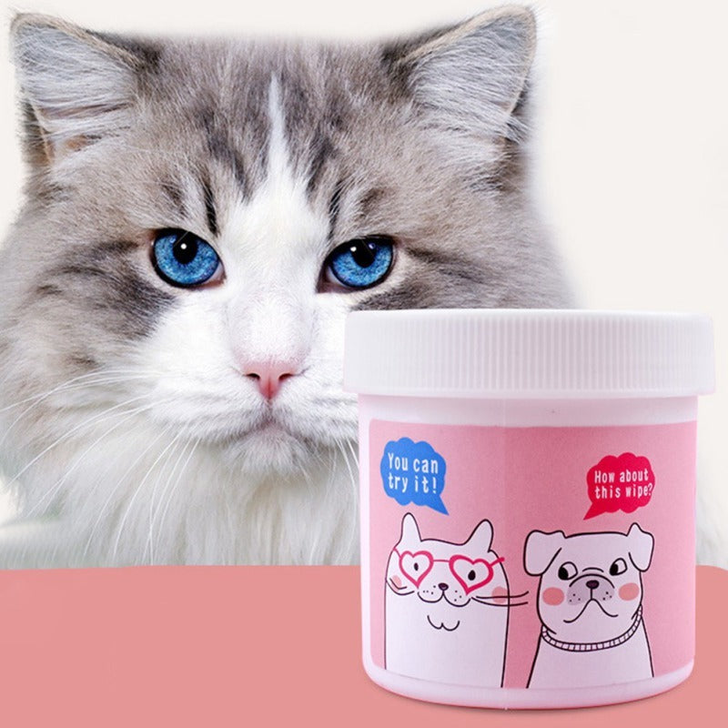 Fluffy grey and white cat next to the jar of gentle cat eye wipes