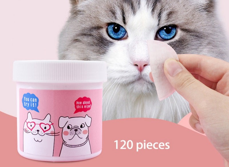 Gently wiping the outer eye area of a cat with a soft cat eye wipe pad