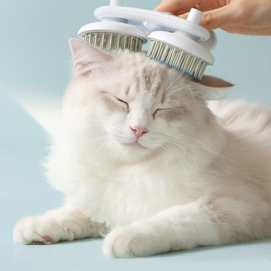 White fluffy cat being brushed with the double-head self-cleaning slicker brush
