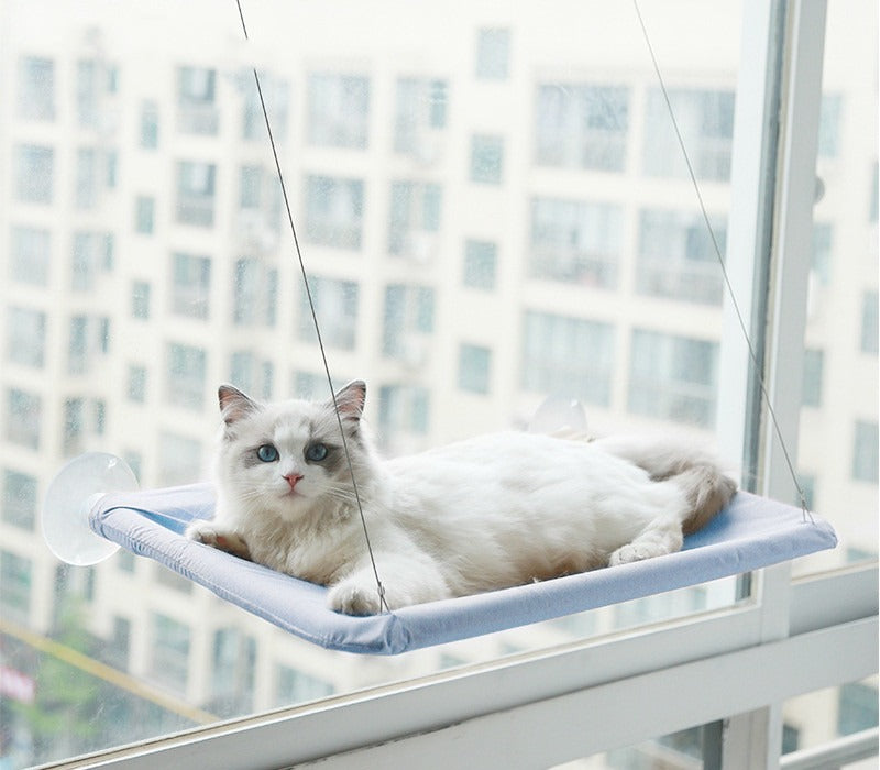 Blue suction-cup cat window hammock with a white cat