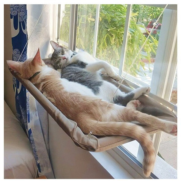 Two cats napping together on a window hammock