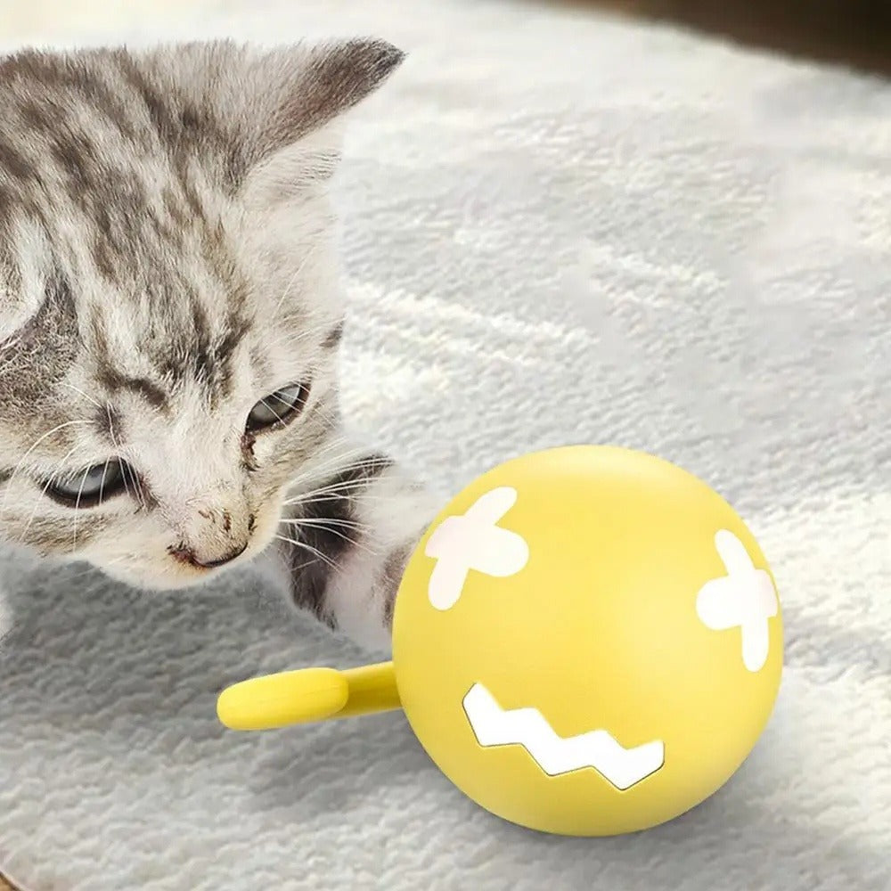 Kitten pawing at the yellow Zoomie Ball on a rug